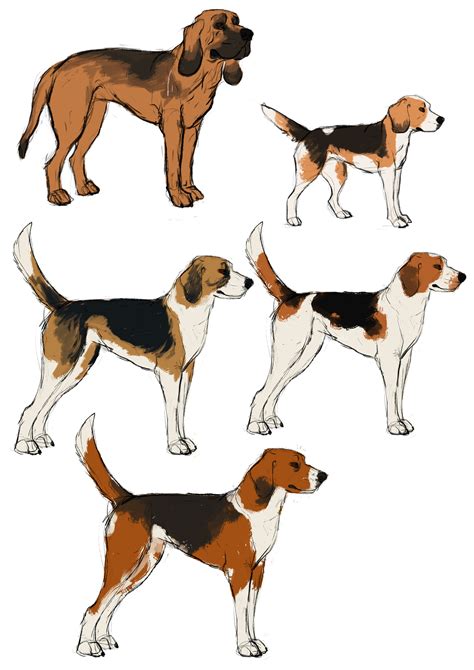 Artstation Hound Dog Character Concepts