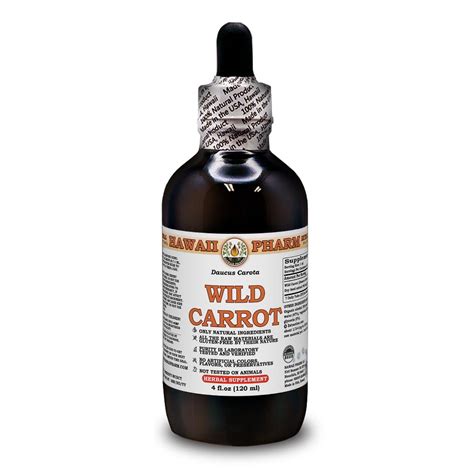 Wild Carrot Daucus Carota Dry Seed Liquid Extract Expertly Extracted