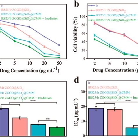 In Vitro Anticancer Effect Of The As Prepared Nano Delivery System