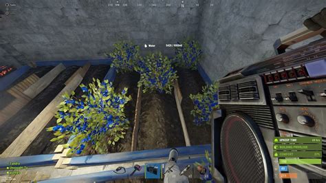 Perfect Berry Clones Just In Time For The End Of Wipe Youtube