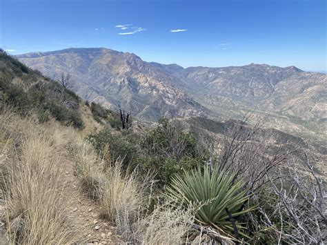 Tourists are flocking to Jellico for the new hiking trails today 19