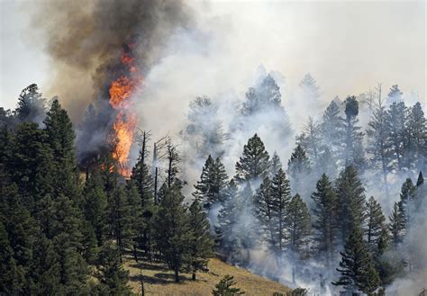 Navigating The Flames Understanding North Americas Wildfire Landscape