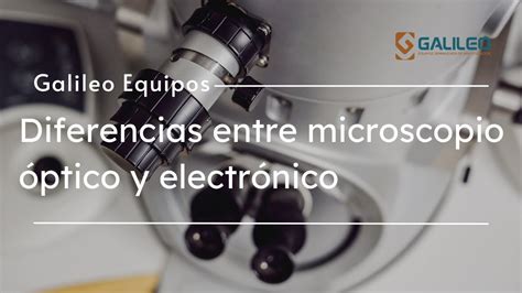 Diferencias Entre Microscopios Pticos Y Electr Nicos Galileo