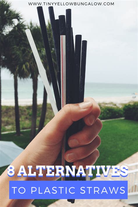 8 Awesome Alternatives To Plastic Straws Tiny Yellow Bungalow