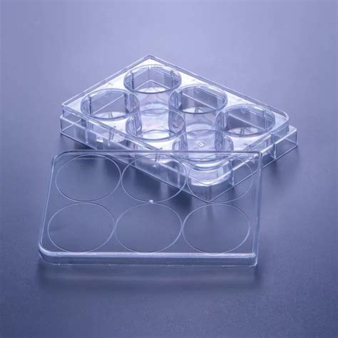 Wells Transparent Plate Tc Treated Cell Culture Plate China Cell