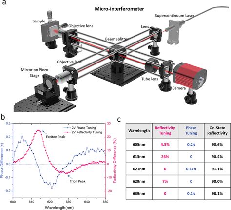 Dynamic Phase Tuning With Enhanced Excitonic And Trionic Resonances In