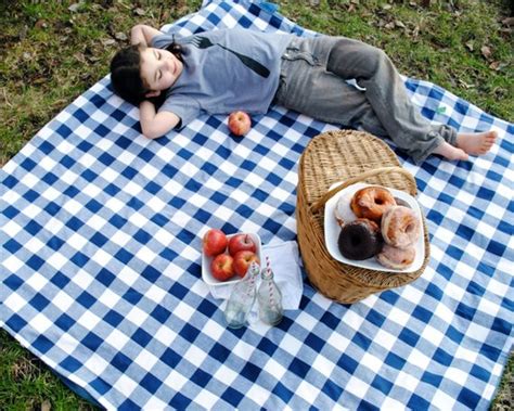 Organic Picnic Blanket Waterproof Picnic Blanket Blue Gingham Eco