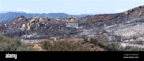 The Scorched Landscape In Topanga State Park Topanga California After