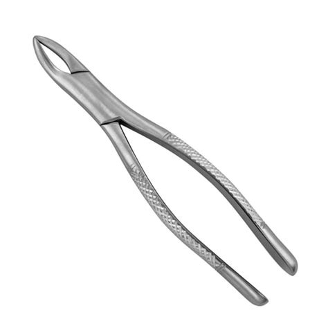 ProDent USA 101 Universal Extraction Forcep For Upper Lower Premolars