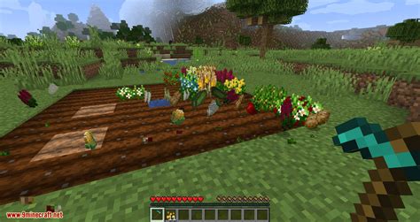 Pam S HarvestCraft 2 Crops Mod 1 16 5 1 15 2 Many New Crops