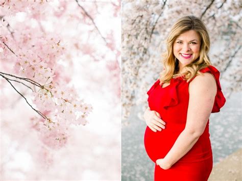 Dc Cherry Blossom Maternity Session Birds Of A Feather Photography Blog