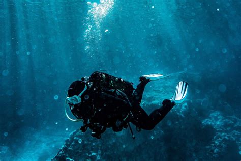 Le Aree Marine Protette Della Sicilia Cosa Vedere