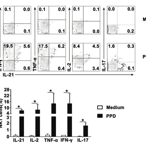 Antigen Induced Expression Of Il 21 With Ifn γ Tnf α Il 2 And Il 17 Download Scientific