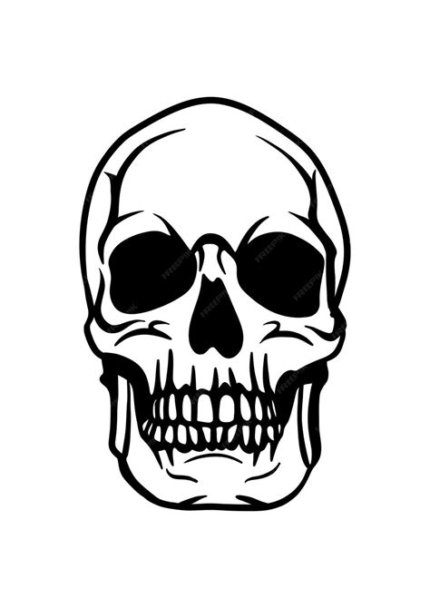 Premium Vector Skull Vector