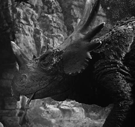 Styracosaurus Wikizilla The Kaiju Encyclopedia