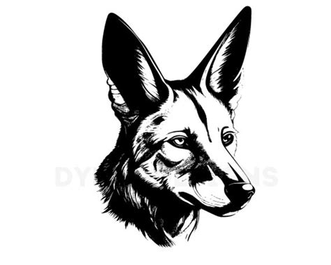 Jackal Svg Jackal Clipart Jackal Png Jackal Head Jackal Etsy