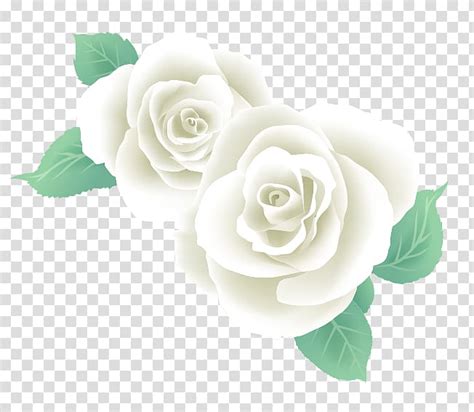 White Rose Clip Art Png