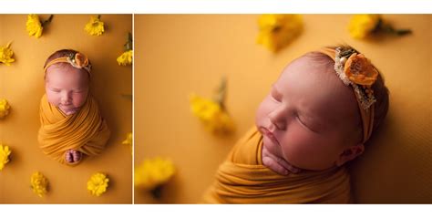 Studio Newborn Portraits for Baby Emma! - kristen noelle photography