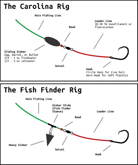 Fish Finder Rig | Everything You Need To Know - Juran Adventures