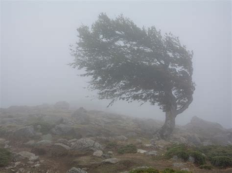 Viento En Monta A Tips Para Protegernos Cuando Sopla Fuerte