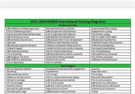 2021 2023 NANDA Organized List Categorized Nursing Diagnosis Etsy Canada