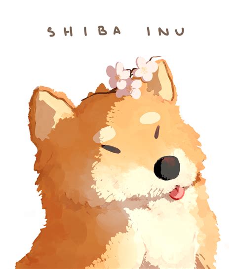 kalouriis — Sakura shiba-