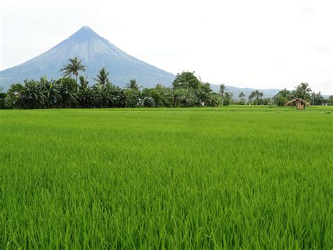 Philippines Volcanoes: List of Cool Volcano Tourist Destinations