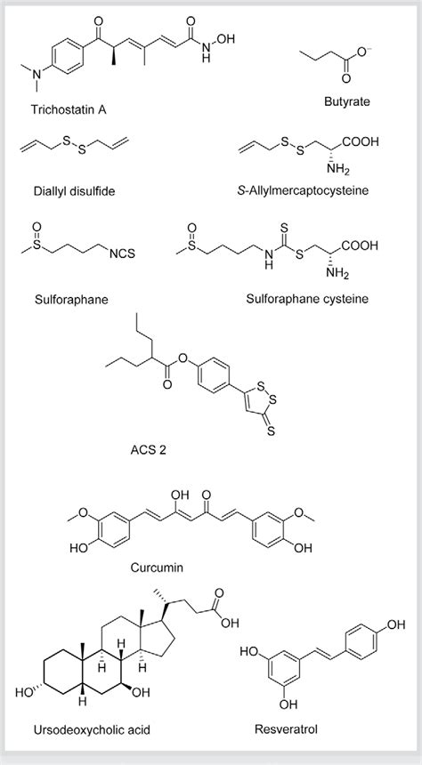 Figure 1 From Targeting Epigenetic Mechanisms Potential Of Natural