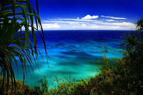 Free Download Hawaii Blue Shore Hawaii White Clouds Palm Trees