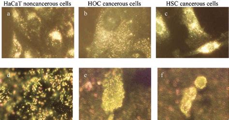 Figure 2 From Why Gold Nanoparticles Are More Precious Than Pretty Gold Noble Metal Surface