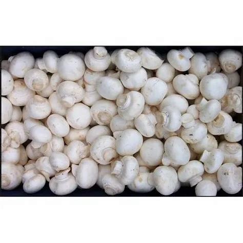 Himahal Pradesh Fresh Organic Button Mushrooms Packaging Type Packet