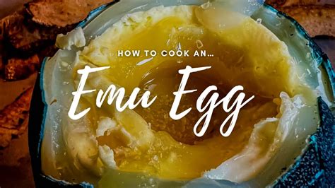 How To Cook A Rare Emu Egg Soft Boiled Hunter Gatherer Cooking Hgc