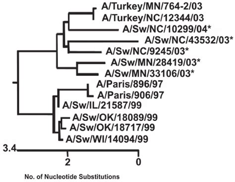 Phylogenetic Tree Of Ha Gene Nucleotide Sequences Of Nonreactive H N