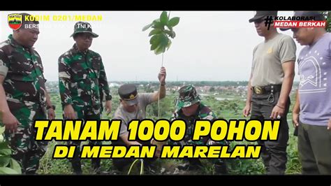 Karya Bakti TNI AD Kodim 0201 Medan Tanam 1000 Bibit Pohon Di Medan