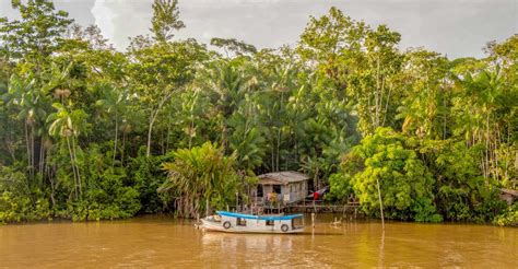 Manaus, 2, 3 or 4-Day Amazon Jungle Tour in Anaconda Lodge - SuiteTrails