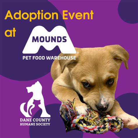 Dane County Humane Society Adoption Event At Mounds Middleton