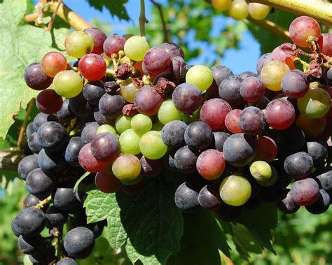 Train commuters find that long island rr stops have new shops 11