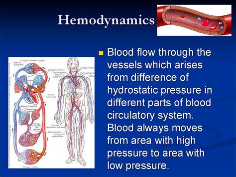 Basis of hydro- and hemodynamics - презентация онлайн