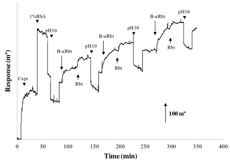 Effect Of The Carbonate Buffer Ph 100 Regeneration Procedure On A