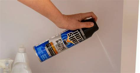 Hot Shot Flying Insect Spray Oz Only On Amazon Or Walmart Hip Save