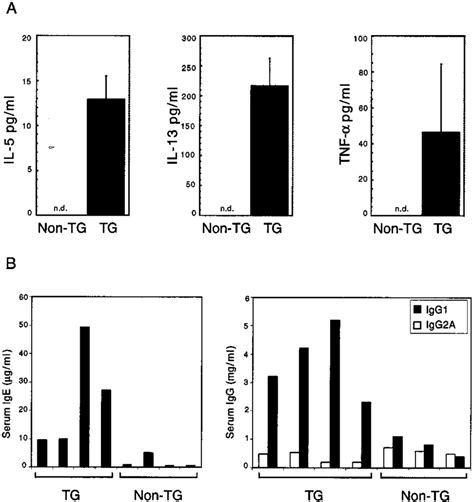 Serum Levels Of Cytokines And Ab Isotypes In Mil 17e Tg Mice A