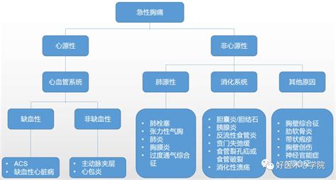 急性胸痛—别着急下结论，还可能有这18种情况！ 好医术文章 好医术 赋能医生守护生命