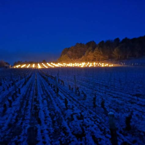 Domaine Theulot Juillot Tocade