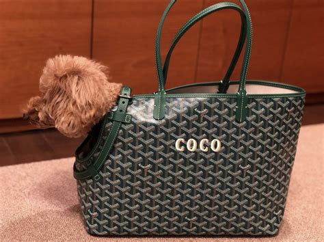 Limelight Nova Goyard Pre Owned Goyard Chien Gris Bag