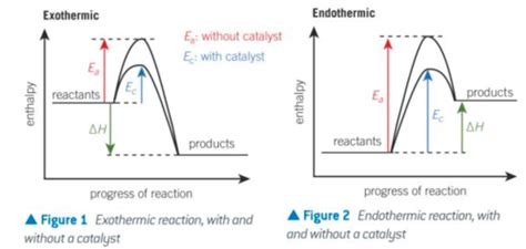 Chemistry Ocr A Reaction Rates And Equilibrium Flashcards Quizlet