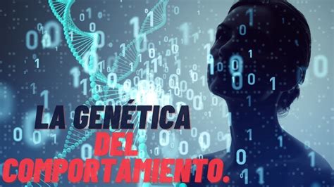 La Gen Tica Influye En El Comportamiento Liminal La Ciencia En