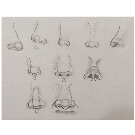 Different angles of noses | Drawings, Art reference, Body shape sketch