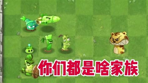 植物大战僵尸什么情况？虎头菇竟然加入不了合适的家族！ Youtube