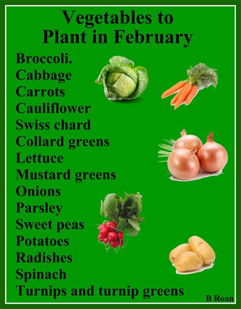 Vegetables That You Can Start Planting In February In North And Central