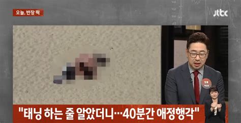 강원도 고성대낮 해변가에서 40분 동안 야외 섹ㅅ한 커플 ㄷㄷㄷ 포텐 터짐 최신순 에펨코리아